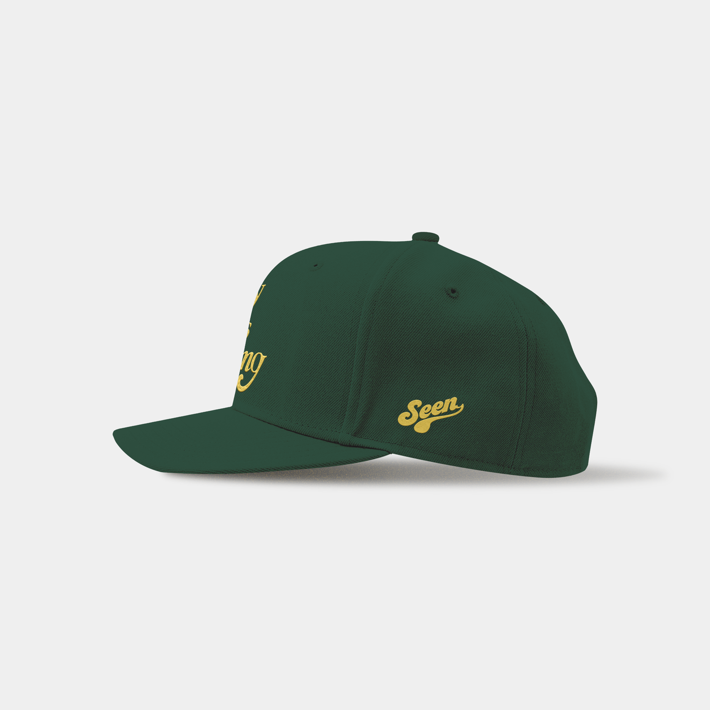 SORRY I WAS HOOPING HAT (SONICS)