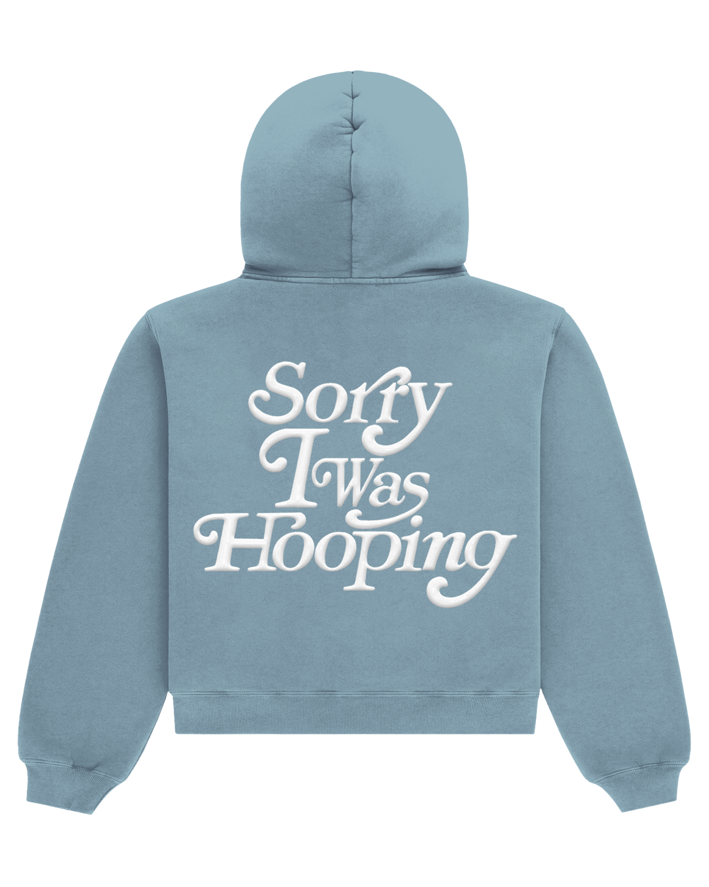 SORRY I WAS HOOPING HOODIES